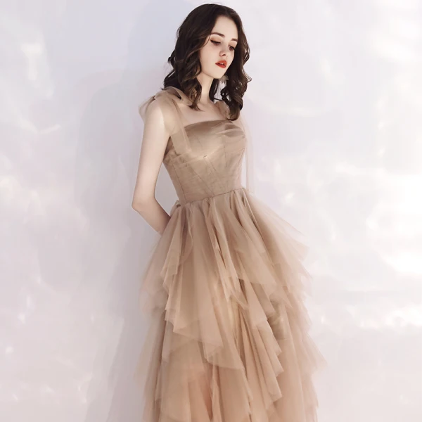 Affordable Champagne Summer Evening Dresses 2019 A-Line / Princess Shoulders Sleeveless Floor-Length / Long Cascading Ruffles Backless Formal Dresses
