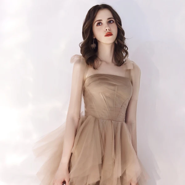 Affordable Champagne Summer Evening Dresses 2019 A-Line / Princess Shoulders Sleeveless Floor-Length / Long Cascading Ruffles Backless Formal Dresses