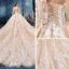 Romantisch Champagner Durchsichtige Brautkleider / Hochzeitskleider 2019 Ballkleid V-Ausschnitt Lange Ärmel Rückenfreies Applikationen Spitze Perlenstickerei Glanz Tülle Kapelle-Schleppe Rüschen