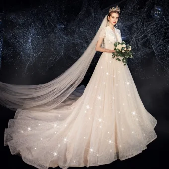 Charmant Champagne Glitter Dentelle Robe De Mariée 2019 Princesse Col V Profond Manches Courtes Dos Nu Perlage Perle Paillettes Tribunal Train Volants