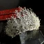 Fantastyczny Złote Ozdoby Do Włosów Ślubne 2019 Stop Rhinestone Tiara Ślub Akcesoria
