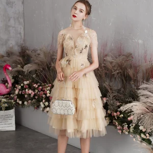 Charmant Champagne Robe De Bal 2019 Princesse Transparentes Col V Profond Manches Courtes Paillettes Fleur Courte Volants En Cascade Dos Nu Robe De Ceremonie