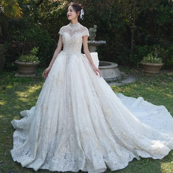 Vintage Luxe Doorzichtige Champagne Trouwjurken 2019 A Lijn Hoge Kraag Korte Mouwen Kralen Appliques Kant Glans Tule Cathedral Train Ruche