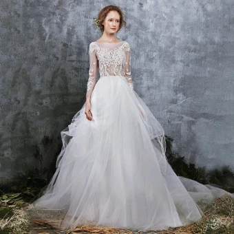 Illusion Ivory Summer See Through Wedding Dresses 2018 A Line Princess Scoop Neck Long Sleeve Appliques Lace Ruffle Cathedral Train