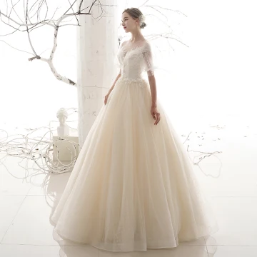 Victorian Style Affordable Outdoor Garden Champagne See Through Wedding Dresses 2019 A Line Princess Scoop Neck Puffy Short Sleeve Backless Spotted Tulle Floor Length Long Ruffle