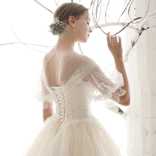 Style Victorien Abordable Jardin / Extérieur Champagne Transparentes Robe De Mariée 2019 Princesse Encolure Dégagée Gonflée Manches Courtes Dos Nu Tachetée Tulle Longue Volants