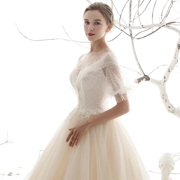 Style Victorien Abordable Jardin / Extérieur Champagne Transparentes Robe De Mariée 2019 Princesse Encolure Dégagée Gonflée Manches Courtes Dos Nu Tachetée Tulle Longue Volants