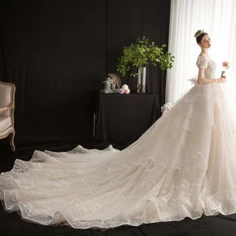 Style Victorien Vintage Originale Champagne Robe De Mariée 2019 Princesse Encolure Carrée Gonflée Manches Courtes Dos Nu Noeud Glitter Tulle Appliques En Dentelle Perlage Cathedral Train Volants