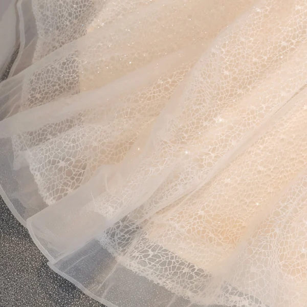Chic / Belle Champagne Dentelle Robe De Mariée 2019 Robe Boule Bustier Sans Manches Dos Nu Glitter Tulle Appliques En Dentelle Perlage Chapel Train Volants