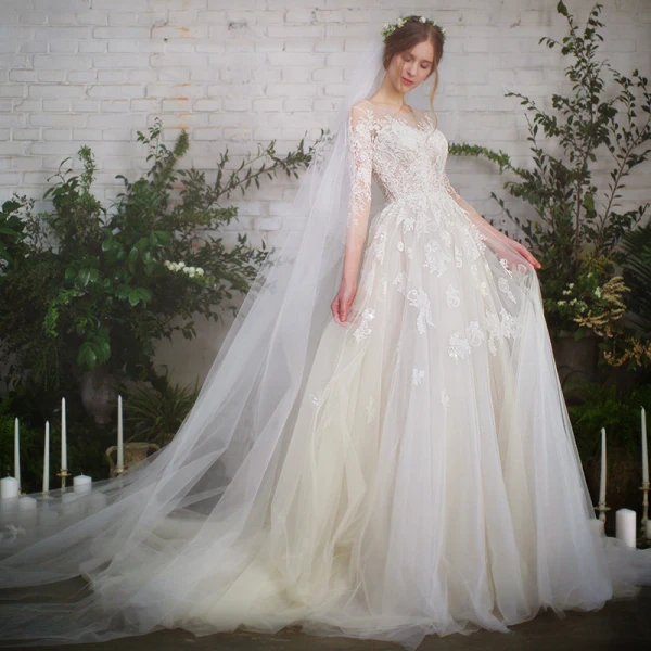 Charming Champagne Lace Pierced Wedding Dresses 2019 A-Line / Princess See-through Scoop Neck 1/2 Sleeves Backless Appliques Lace Chapel Train Ruffle