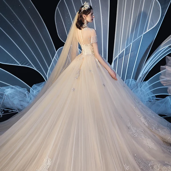 Vintage / Retro Champagne See-through Wedding Dresses 2019 Ball Gown High Neck Short Sleeve Beading Tassel Glitter Tulle Appliques Lace Cathedral Train Ruffle