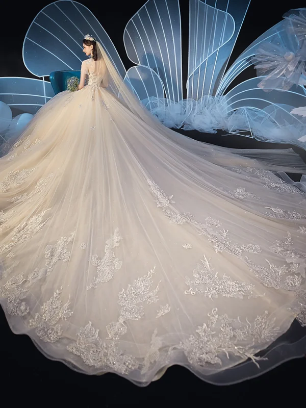 Vintage / Retro Champagne See-through Wedding Dresses 2019 Ball Gown High Neck Short Sleeve Beading Tassel Glitter Tulle Appliques Lace Cathedral Train Ruffle
