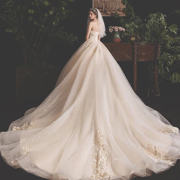 Fine Champagne Brudekjoler 2019 Prinsesse Kjæreste Uten Ermer Ryggløse Glitter Tyll Appliques Blonder Paljetter Beading Chapel Train Buste