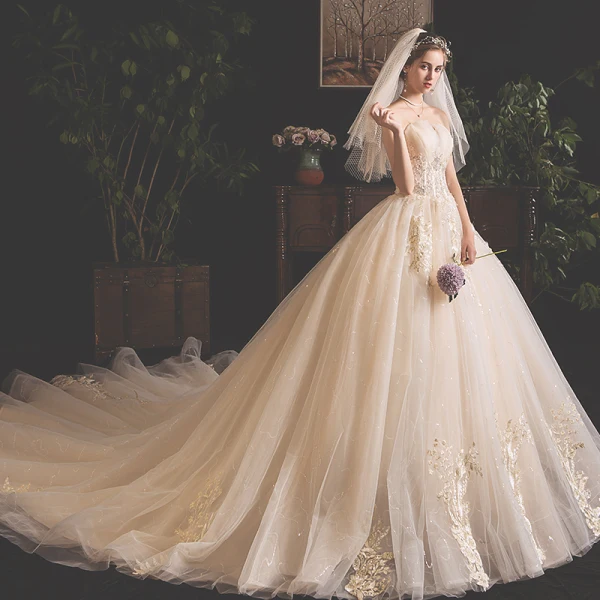 Fine Champagne Brudekjoler 2019 Prinsesse Kjæreste Uten Ermer Ryggløse Glitter Tyll Appliques Blonder Paljetter Beading Chapel Train Buste