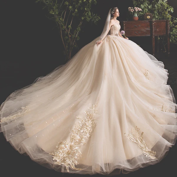 Fine Champagne Brudekjoler 2019 Prinsesse Kjæreste Uten Ermer Ryggløse Glitter Tyll Appliques Blonder Paljetter Beading Chapel Train Buste