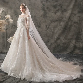 Light See Through Champagne Outdoor Garden Wedding Dresses 2019 A Line Princess High Neck Puffy 3 4 Sleeve Backless Appliques Lace Court Train Ruffle
