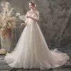 Light See-through Champagne Outdoor / Garden Wedding Dresses 2019 A-Line / Princess High Neck Puffy 3/4 Sleeve Backless Appliques Lace Court Train Ruffle