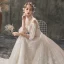 Leichtes Durchsichtige Champagner Garten / Im Freien Brautkleider / Hochzeitskleider 2019 A Linie Stehkragen Geschwollenes 3/4 Ärmel Rückenfreies Applikationen Spitze Hof-Schleppe Rüschen