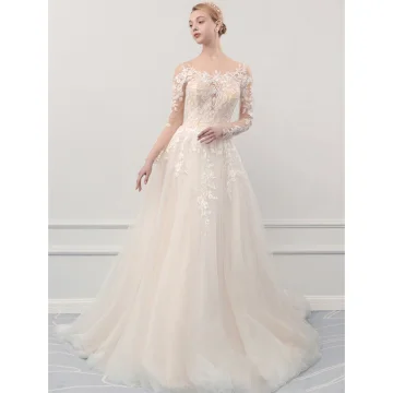 Illusion Champagne See Through Outdoor Garden Wedding Dresses 2019 A Line Princess Scoop Neck Long Sleeve Pierced Appliques Lace Court Train Ruffle
