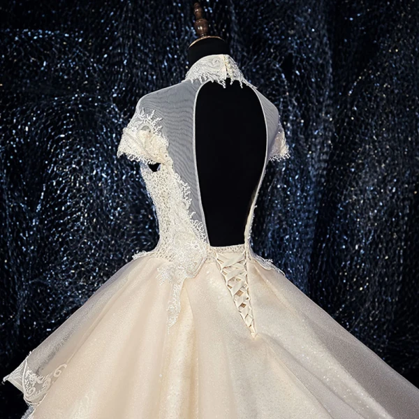 Glitzernden Champagner Durchsichtige Brautkleider / Hochzeitskleider 2019 Ballkleid Stehkragen Kurze Ärmel Rückenfreies Applikationen Spitze Perlenstickerei Glanz Pailletten Tülle Königliche Schleppe Rüschen