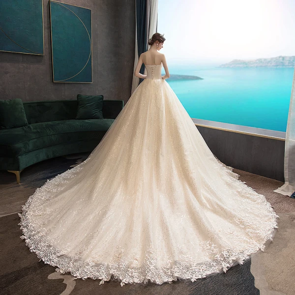 Erschwinglich Champagner Brautkleider / Hochzeitskleider 2019 A Linie Herz-Ausschnitt Ärmellos Rückenfreies Applikationen Spitze Perle Perlenstickerei Glanz Pailletten Tülle Kapelle-Schleppe Rüschen