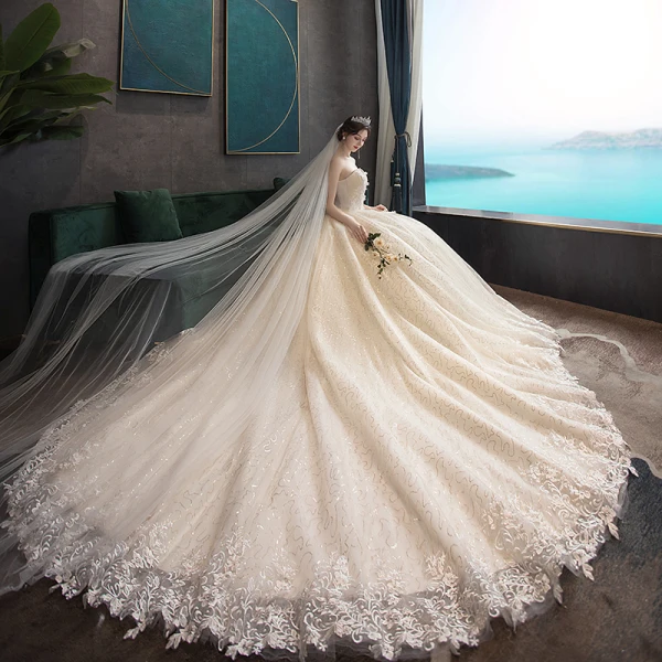 Erschwinglich Champagner Brautkleider / Hochzeitskleider 2019 A Linie Herz-Ausschnitt Ärmellos Rückenfreies Applikationen Spitze Perle Perlenstickerei Glanz Pailletten Tülle Kapelle-Schleppe Rüschen