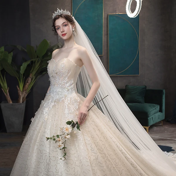 Erschwinglich Champagner Brautkleider / Hochzeitskleider 2019 A Linie Herz-Ausschnitt Ärmellos Rückenfreies Applikationen Spitze Perle Perlenstickerei Glanz Pailletten Tülle Kapelle-Schleppe Rüschen