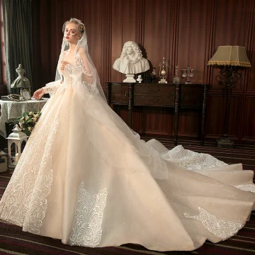 Het Beste Champagne Trouwjurken 2019 A Lijn Geliefde Mouwloos Ruglooze Glans Tule Appliques Kant Kralen Cathedral Train Ruche