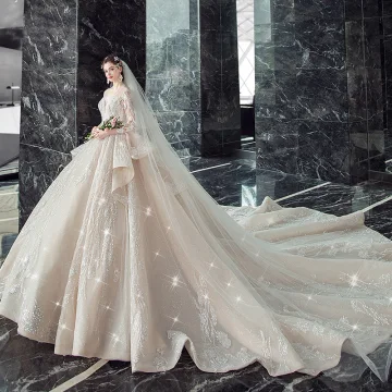 Illusion Champagne Transparentes Robe De Mariée 2020 Robe Boule Col V Profond 3 4 Manches Dos Nu Glitter Tulle Appliques En Dentelle Perlage Cathedral Train Volants