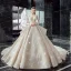 Illusion Champagne Transparentes Robe De Mariée 2020 Robe Boule Col v profond 3/4 Manches Dos Nu Glitter Tulle Appliques En Dentelle Perlage Cathedral Train Volants