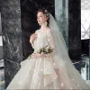 Illusion Champagne See-through Wedding Dresses 2020 Ball Gown Deep V-Neck 3/4 Sleeve Backless Glitter Tulle Appliques Lace Beading Cathedral Train Ruffle