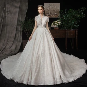 Best Champagne Lace Wedding Dresses 2020 A Line Princess See Through Deep V Neck Short Sleeve Beading Pearl Sequins Cathedral Train Ruffle