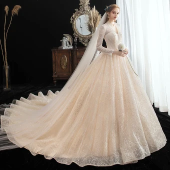 Chic Belle Champagne Transparentes Dentelle Robe De Mariée 2020 Princesse V Cou Manches Longues Dos Nu Glitter Tulle Perlage Perle Chapel Train Volants