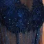 Élégant Bleu Marine Transparentes Robe De Soirée 2020 Trompette / Sirène Encolure Carrée Sans Manches Appliques En Dentelle Perlage Gland Train De Balayage Dos Nu Robe De Ceremonie