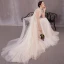 Elegant Light Champagne Outdoor / Garden Wedding Dresses 2020 A-Line / Princess High Neck Sleeveless Appliques Lace Sweep Train Ruffle