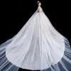 High-end Champagne Wedding Dresses 2020 Ball Gown Deep V-Neck Sleeveless Backless Appliques Lace Sequins Beading Watteau Train Ruffle