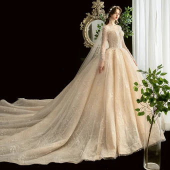 Chic Belle Champagne Transparentes Robe De Mariée 2020 Robe Boule Encolure Carrée Manches Longues Dos Nu Glitter Tulle Appliques En Dentelle Perlage Cathedral Train Volants
