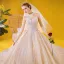 Vintage / Originale Champagne Transparentes Robe De Mariée 2020 Princesse Col Haut 3/4 Manches Dos Nu Appliques En Dentelle Perlage Royal Train Volants