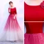 Affordable Red Evening Dresses  2020 A-Line / Princess Scoop Neck 3/4 Sleeve Flower Glitter Tulle Floor-Length / Long Formal Dresses
