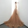 Sexy Champagne Evening Dresses  2020 A-Line / Princess Spaghetti Straps Sleeveless Appliques Lace Court Train Ruffle Backless Formal Dresses