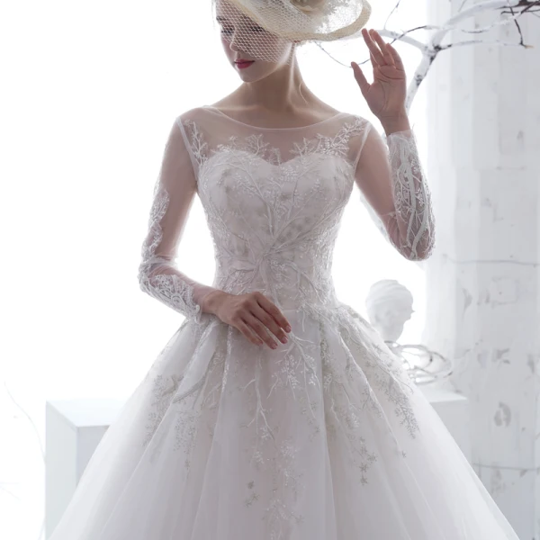 Hermoso Blanco Transparentes Vestidos De Novia 2020 A-Line / Princess Scoop Escote Manga Larga Sin Espalda Apliques Con Encaje Chapel Train Ruffle