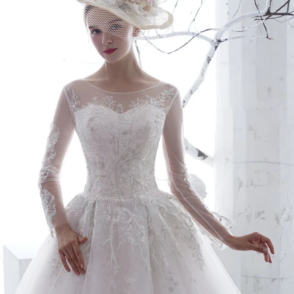 Hermoso Blanco Transparentes Vestidos De Novia 2020 A-Line / Princess Scoop Escote Manga Larga Sin Espalda Apliques Con Encaje Chapel Train Ruffle