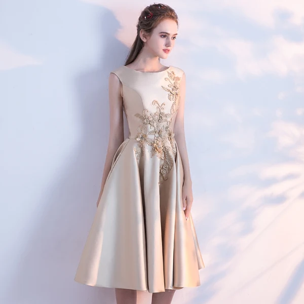 graduation dress embroidered Chic French Lace Short Prom Dress Beautiful Embroidery Homecoming Eleg –  SELINADRESS main image 1