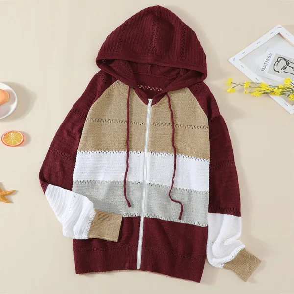 Fashion Fall Winter Burgundy Multi-Colors Stripe Street Wear Hooded Sweatshirts 2021 Long Sleeve Loose Women Tops