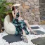 Bohemia Multi-Colors Street Wear Summer Womens Sandals 2020 5 cm Platform Open / Peep Toe Sandals