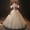 Charming Ball Gown Quinceañera Champagne Flower Prom Dresses 2024 Spaghetti Straps Floor-Length / Long Tulle Formal Dresses