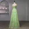 Flower Fairy Sage Green Embroidered Floral Prom Dresses 2023 Spaghetti Straps Tulle Sleeveless Sweetheart Floor-Length / Long Homecoming Formal Dresses