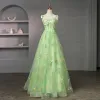 Bajka Szałwia Zielony Haftowane Kwiatowy Sukienki Na Bal 2023 Długie Sukienki Wizytowe Spaghetti Pasy Suknia Balowa