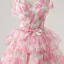 Flower Fairy Rose Flower Blushing Pink Prom Dresses 2025 Sweet 16 Homecoming A-Line / Princess Spaghetti Straps Formal Dresses Crossed Straps Detachable Sleeveless