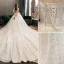 Chic Ivoire Robe De Mariée 2019 Robe Boule Bustier Paillettes En Dentelle Fleur Sans Manches Dos Nu Royal Train
